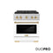 Autograph Edition 30 In. 4.2 Cu. Ft. Paramount Gas Range With 4 Burner Duopro™ Cooktop And Convection Gas Oven In Satin Stainless Steel With White Matte Door And Polished Gold Accents