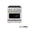 Autograph Edition 30 In. 4.2 Cu. Ft. Paramount Gas Range With 4 Burner Duopro™ Cooktop And Convection Gas Oven In Stainless Steel With Champagne Bronze Accents