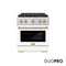 Autograph Edition 30 In. 4.2 Cu. Ft. Paramount Gas Range With 4 Burner Duopro™ Cooktop And Convection Gas Oven In Stainless Steel With White Matte Door And Champagne Bronze Accents