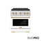 Autograph Edition 30 In. 4.2 Cu. Ft. Paramount Gas Range With 4 Burner Duopro™ Cooktop And Convection Gas Oven In Stainless Steel With White Matte Door And Polished Gold Accents