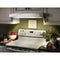 30" UnderCabinet Range Hood w/ Light,