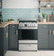 24" 2.9 Cu. Ft. Gas Free-standing Range With Convection And Modular Backguard