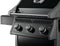 Rogue® 425 Gas Grill