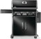 Rogue® 525 Gas Grill