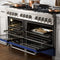 60 In. 7.4 Cu. Ft. Legacy Dual Fuel Range With 9 Burner Gas Cooktop And 2 Electric Convection Ovens In Stainless Steel And Blue Matte Doors