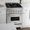 24 In. 2.8 Cu. Ft. Legacy Dual Fuel Range With Gas Cooktop And Electric Convection Oven In Stainless Steel With 4 Brass Burners