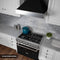 30 In. 4.0 Cu. Ft. Legacy Dual Fuel Range With 4 Burner Gas Cooktop And Electric Convection Oven In Satin Stainless Steel And Black Matte Door