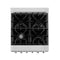 24 In. 2.8 Cu. Ft. Legacy Dual Fuel Range With 4 Burner Gas Cooktop And Electric Convection Oven In Satin Stainless Steel