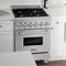 24 In. 2.8 Cu. Ft. Legacy Dual Fuel Range With Gas Cooktop And Electric Convection Oven In Satin Stainless Steel With 4 Brass Burners