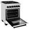 Autograph Edition 24 In. 2.8 Cu. Ft. Legacy Dual Fuel Range With 4 Burner Gas Cooktop And Electric Convection Oven In Stainless Steel With White Matte Door And Matte Black Accents