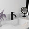 Palisades Elegant Single Handle Bath Faucet In Matte Black