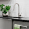 Palisades Pull Down Single Handle Kitchen Faucet In Brushed Nickel