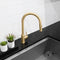 Palisades Pull Down Single Handle Kitchen Faucet In Champagne Bronze