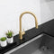 Palisades Pull Down Single Handle Kitchen Faucet In Champagne Bronze
