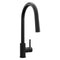 Palisades Pull Down Single Handle Kitchen Faucet In Matte Black