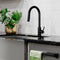 Palisades Pull Down Single Handle Kitchen Faucet In Matte Black