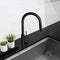 Palisades Pull Down Single Handle Kitchen Faucet In Matte Black