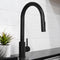 Palisades Pull Down Single Handle Kitchen Faucet In Matte Black