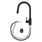 Palisades Pull Down Single Handle Kitchen Faucet In Matte Black