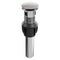 Palisades Push Button Drain In Brushed Nickel