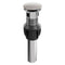Palisades Push Button Drain In Brushed Nickel