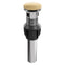 Palisades Push Button Drain In Champagne Bronze