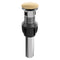 Palisades Push Button Drain In Champagne Bronze