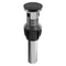 Palisades Push Button Drain In Matte Black