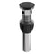 Palisades Push Button Drain In Matte Black