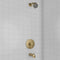 Palisades Elegant Shower System
