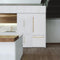 Autograph Edition 30 In. 16.1 Cu. Ft. Built-in Bottom Freezer Refrigerator With Water Dispenser And Ice Maker In White Matte With Polished Gold Accents