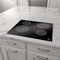 24 In. Induction Cooktop With 4 Burners