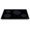 30 In. Induction Cooktop With 4 Burners