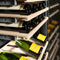 18 In. 9.0 Cu. Ft. Triple Zone 68 Bottle Right Hinge Column Wine Cooler In Stainless Steel