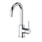 Renoir Single Handle Kitchen Faucet In Chrome