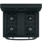 30" Free-standing Standard Clean Gas Range