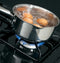 30" Free-standing Standard Clean Gas Range