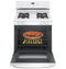 30" Free-standing Standard Clean Gas Range
