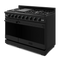 RSG48EB-101985631.webp