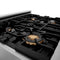 Autograph Edition 30 In. Legacy Gas Rangetop With 4 Burners And Porcelain Cooktop In Stainless Steel With Polished Gold Accents