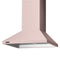 30"W. Chimney Wall Hood + Ventilator