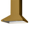 30"W. Chimney Wall Hood + Ventilator