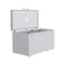 60 in. Commercial Chest Freezer 15.9 cu ft