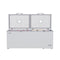 76 in. Commercial Chest Freezer 20 cu ft
