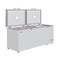 76 in. Commercial Chest Freezer 20 cu ft
