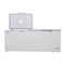 76 in. Commercial Chest Freezer 20 cu ft