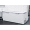 77 in. Commercial Chest Freezer 24 cu ft