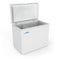 37 in. Commercial Chest Freezer 7 cu ft.
