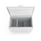 37 in. Commercial Chest Freezer 7 cu ft.