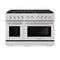 48 In. 6.7 Cu. Ft. Paramount Double Oven Dual Fuel Range With 8 Burner Gas Cooktop In Stainless Steel